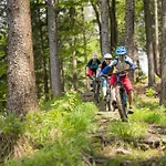 Kalkalpen
